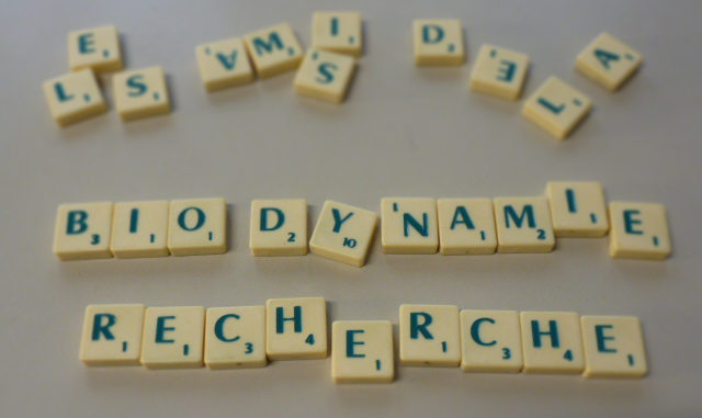 scrabbleBDR1