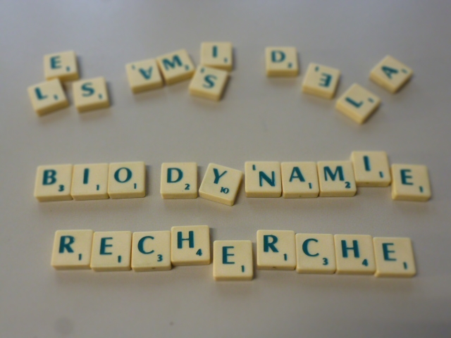 scrabbleBDR1 changement de nom de l'association