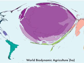 Carte mondiale de l'agriculture biodynamique
