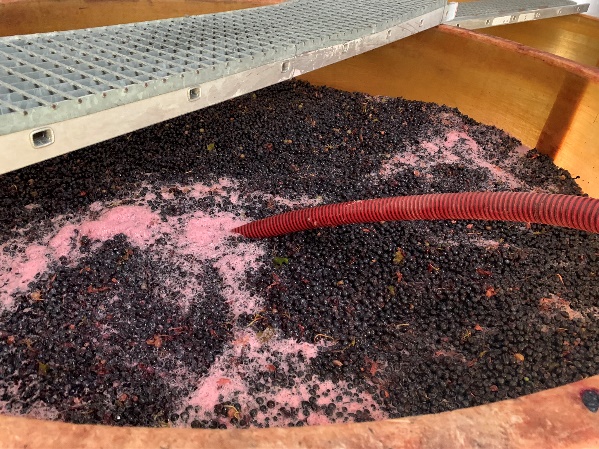 File:Ancienne cuve de fermentation du vin en acier inoxydable utilisée pour  la préparation du compost.jpg - Wikimedia Commons