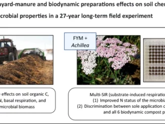 Biodynamic compost effects on soil parameters in a 27-year long-term field experiment