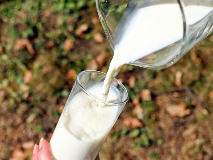 lait biodynamique au Danemark