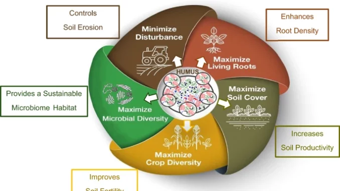 The essential role of humified organic matter in preserving soil health