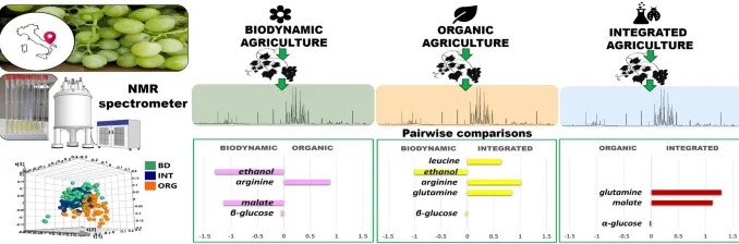 graphical abstract Coli et al
