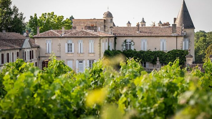 Vue_du_château_Lafite_depuis_les_vignes.