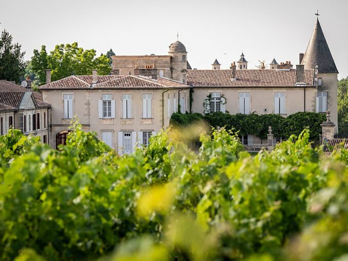 Vue_du_château_Lafite_depuis_les_vignes.